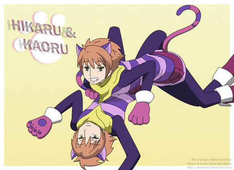 Hikaru Kaoru Cats