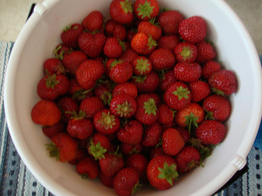 Swedish strawberries