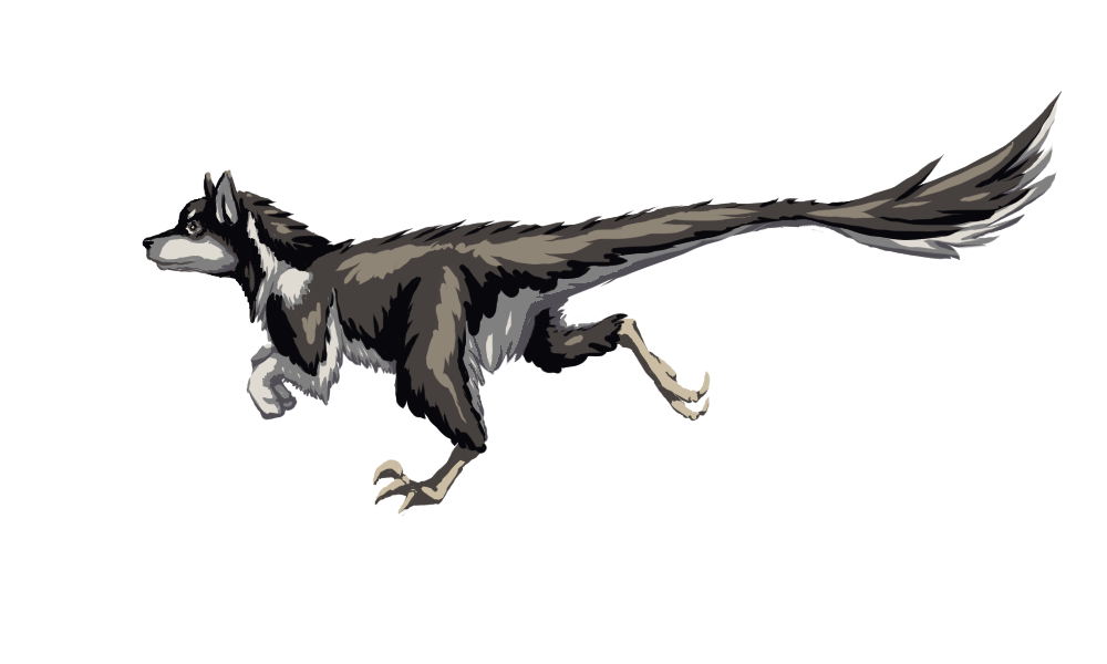 Dog-raptor: Husky by UchihaMandara on DeviantArt