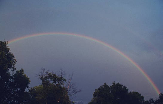 Rainbow