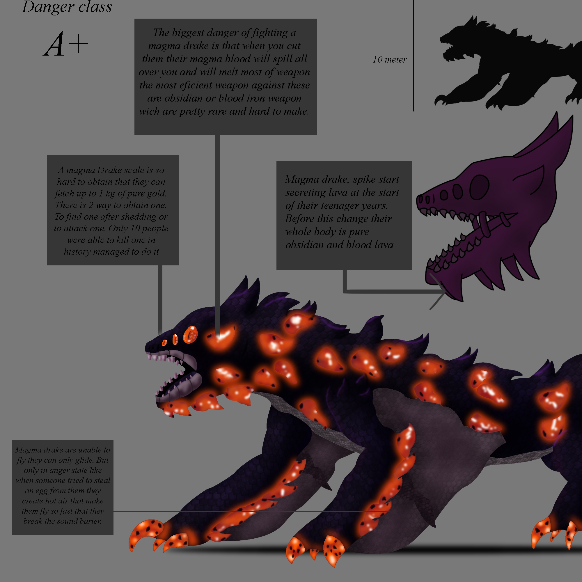 Magma Drake Species