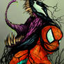 Spider and Symbiote