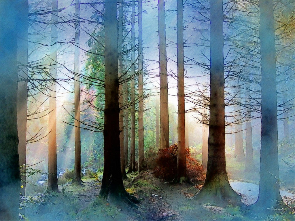 Forest, Trees and Fog by T-Douglas-Painting on DeviantArt