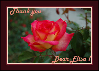 Thank you dear Elisa ...