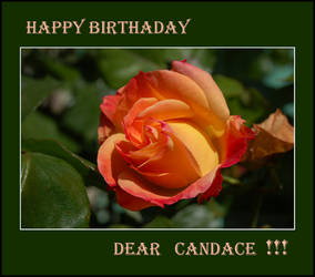 Happy  Birthday  Dear Candace