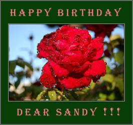 Happy Birthday Dear Sandy