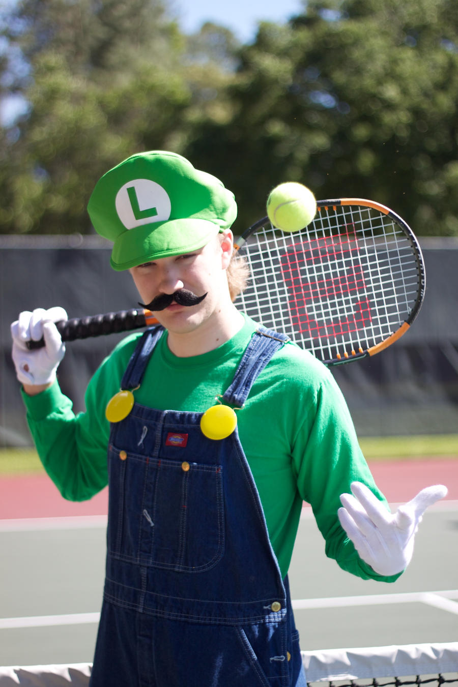 Cosplay: Luigi