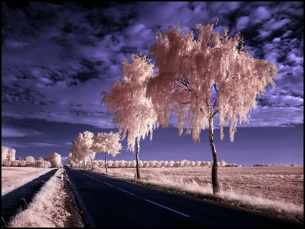 Country Road II infrared...