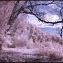 Wolni Lake pano infrared...