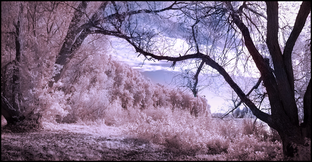 Wolni Lake pano infrared...