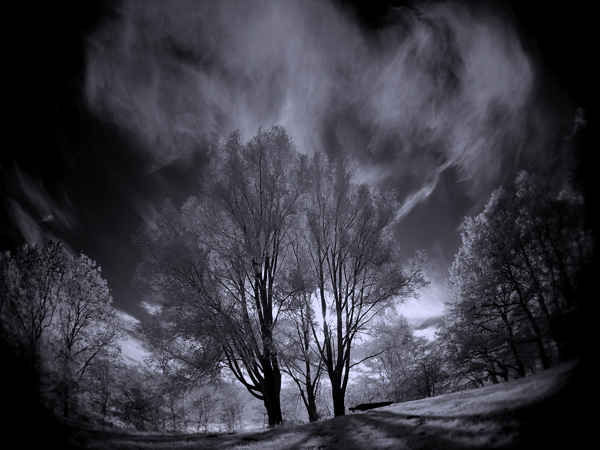 Wolni Lake II infrared...