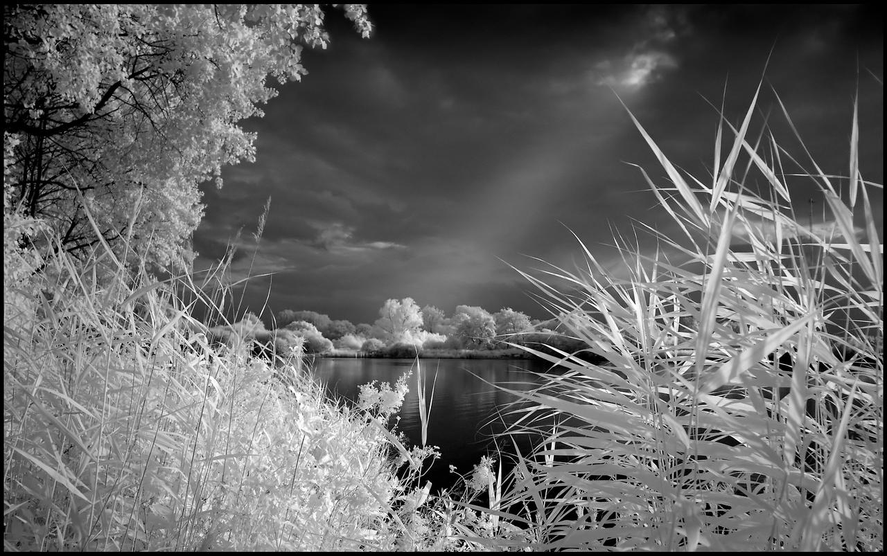 Wolni Lake Summer Infrared...
