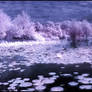 Arboretum-Pano II Infrared...