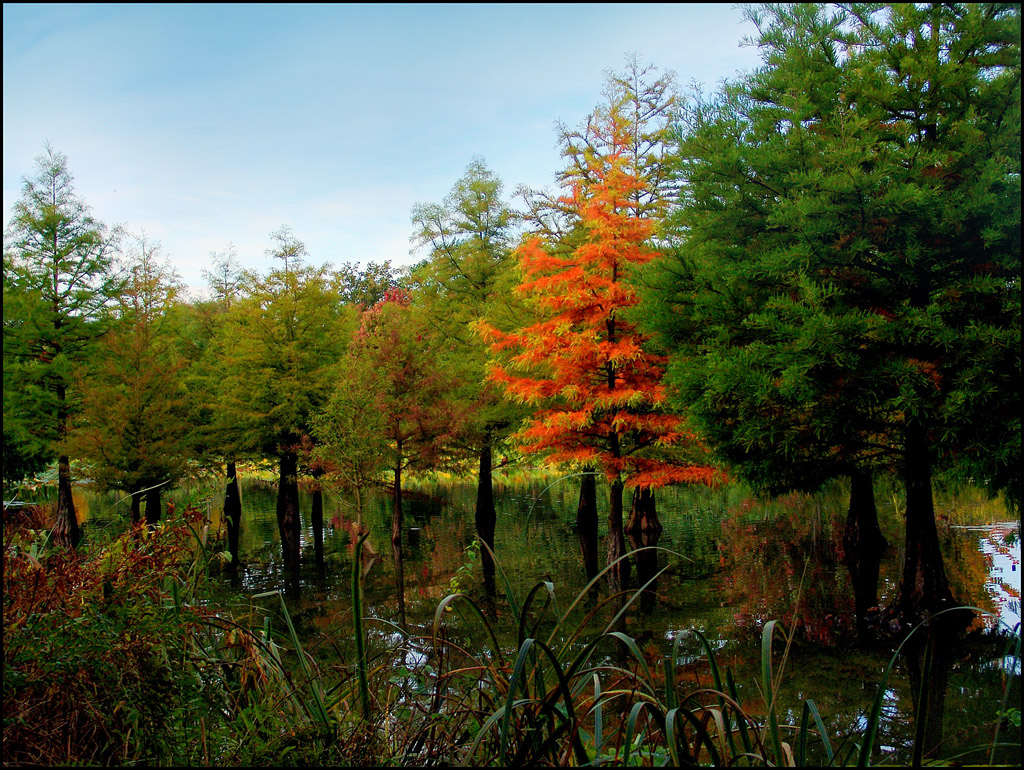 First Autum Colors...