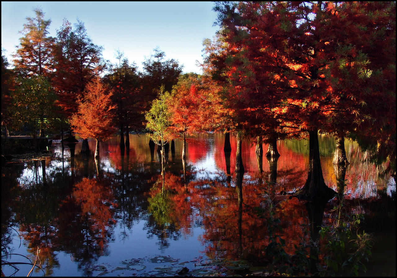 Autumn Lake II...