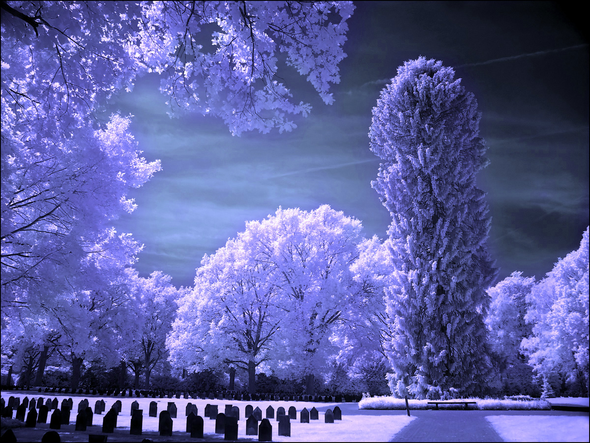 Soldiers Graveyard infrared...