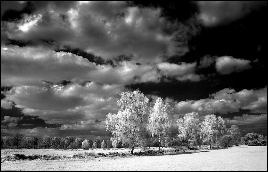 Springtime infrared...