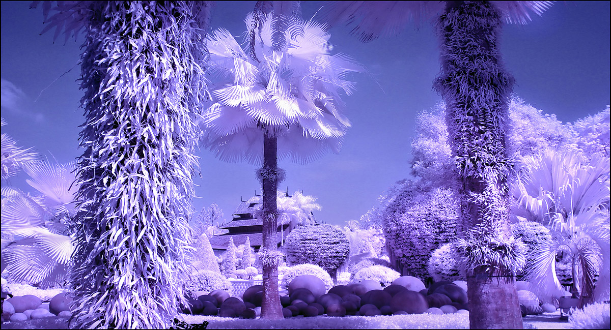 Nong Nooch Garden infrared...