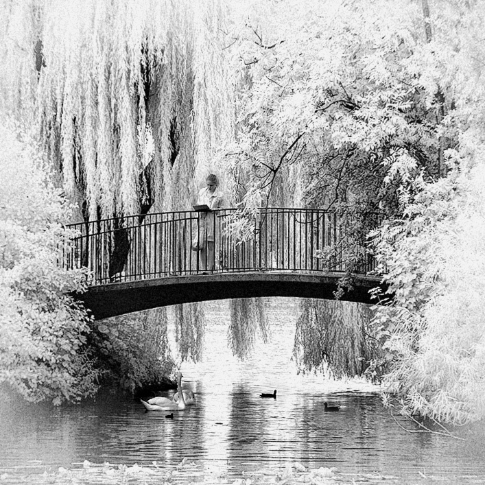 Idyllic Bridge b+w infrared