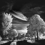 Skyfishcloud III infrared... by MichiLauke