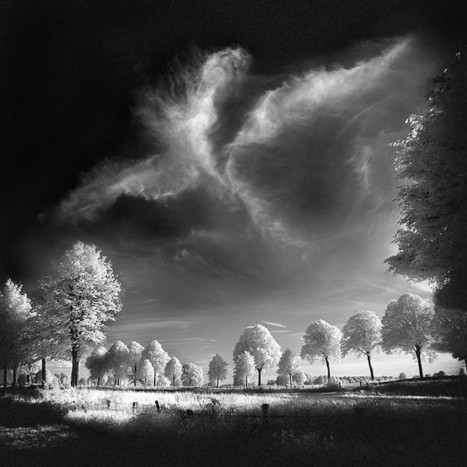 Phoenix infrared...