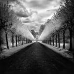 Castle Avenue infrared by MichiLauke