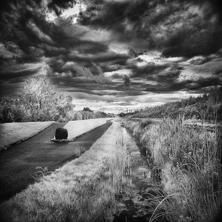 This or that way - infrared by MichiLauke