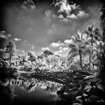 Paradise Garden - infrared by MichiLauke