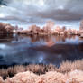 Lake Wolny infrared