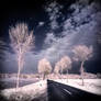 Country Road infrared