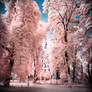 Jewish Cemetery Berlin infrared color