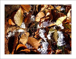 Autumn Hail...