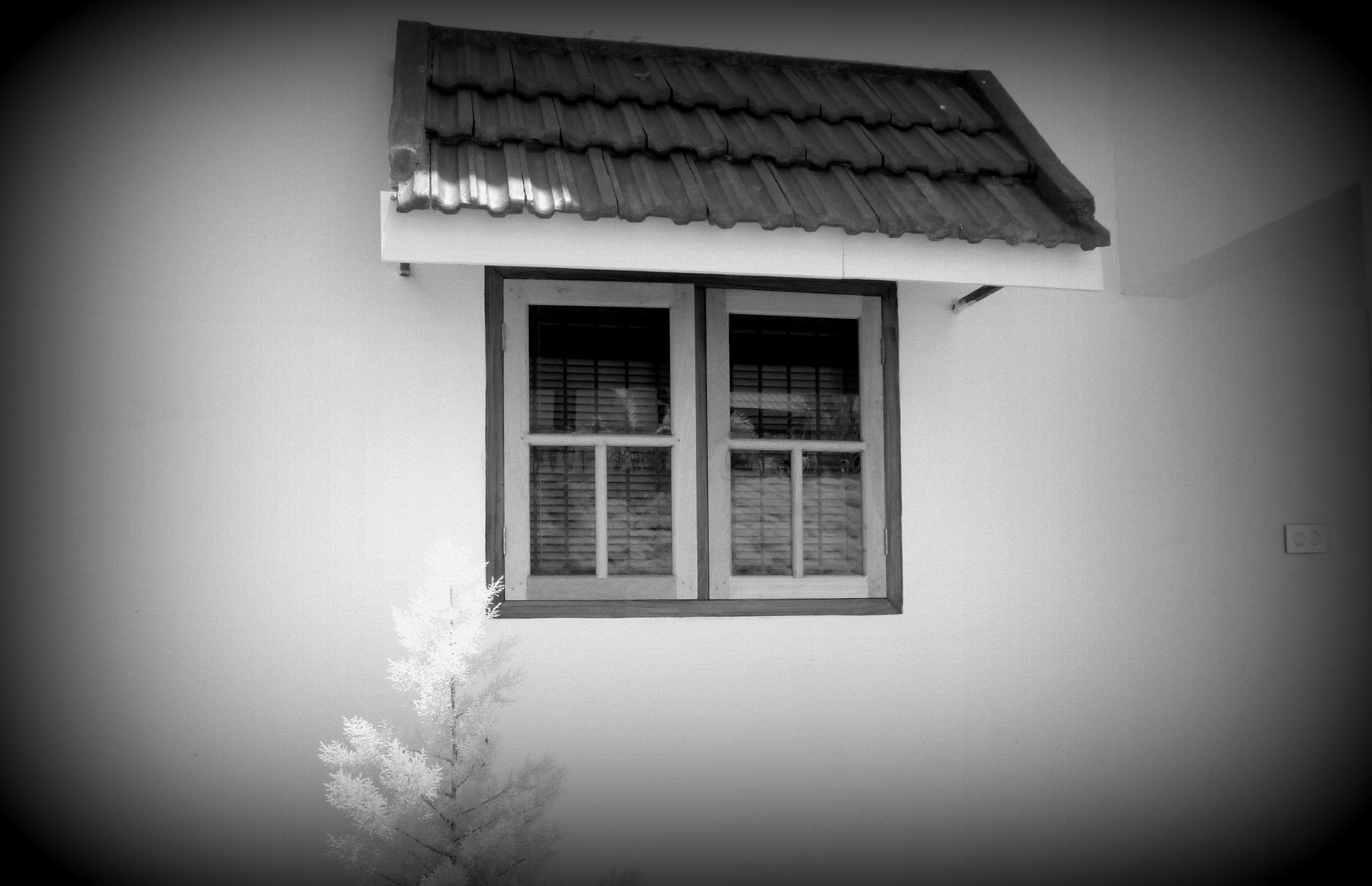 Window infrared