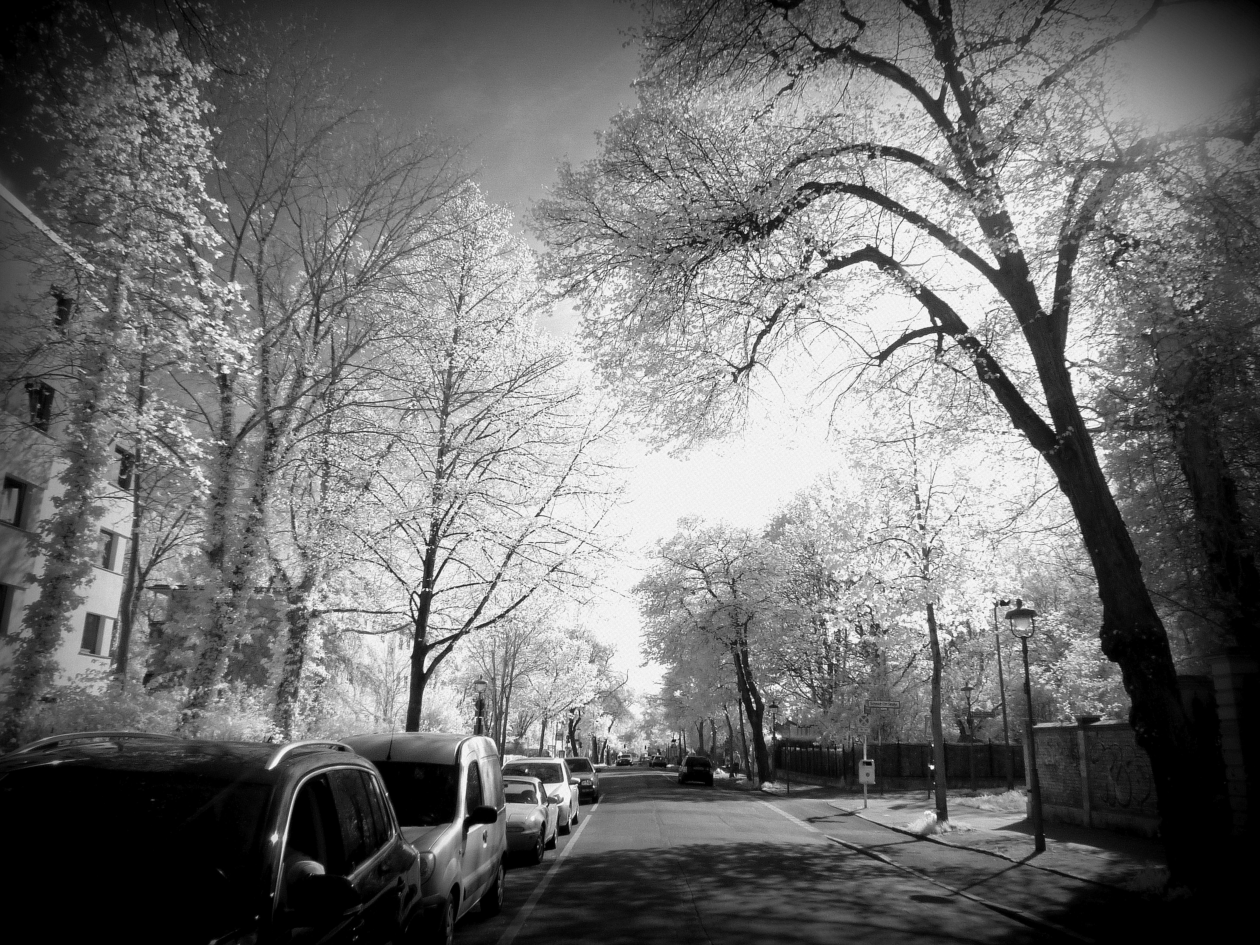 Berlin Rothenburgstr. II infrared