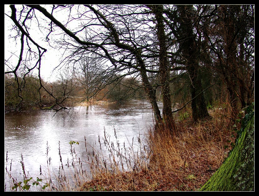 Rain Deluge II...