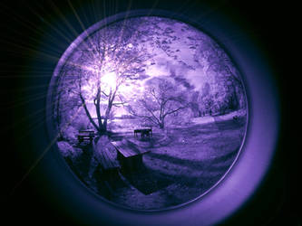 Wonderland - infrared... by MichiLauke