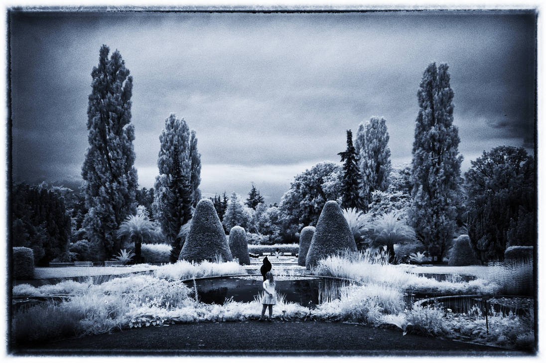 Berlin Botanical Garden infrared by MichiLauke