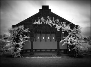 Little Hut - Berlin Botanical Garden infrared by MichiLauke