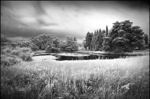 Little Lake - Berlin Botanical Garden infrared by MichiLauke