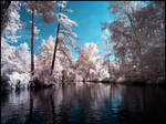 Summer in September infrared by MichiLauke