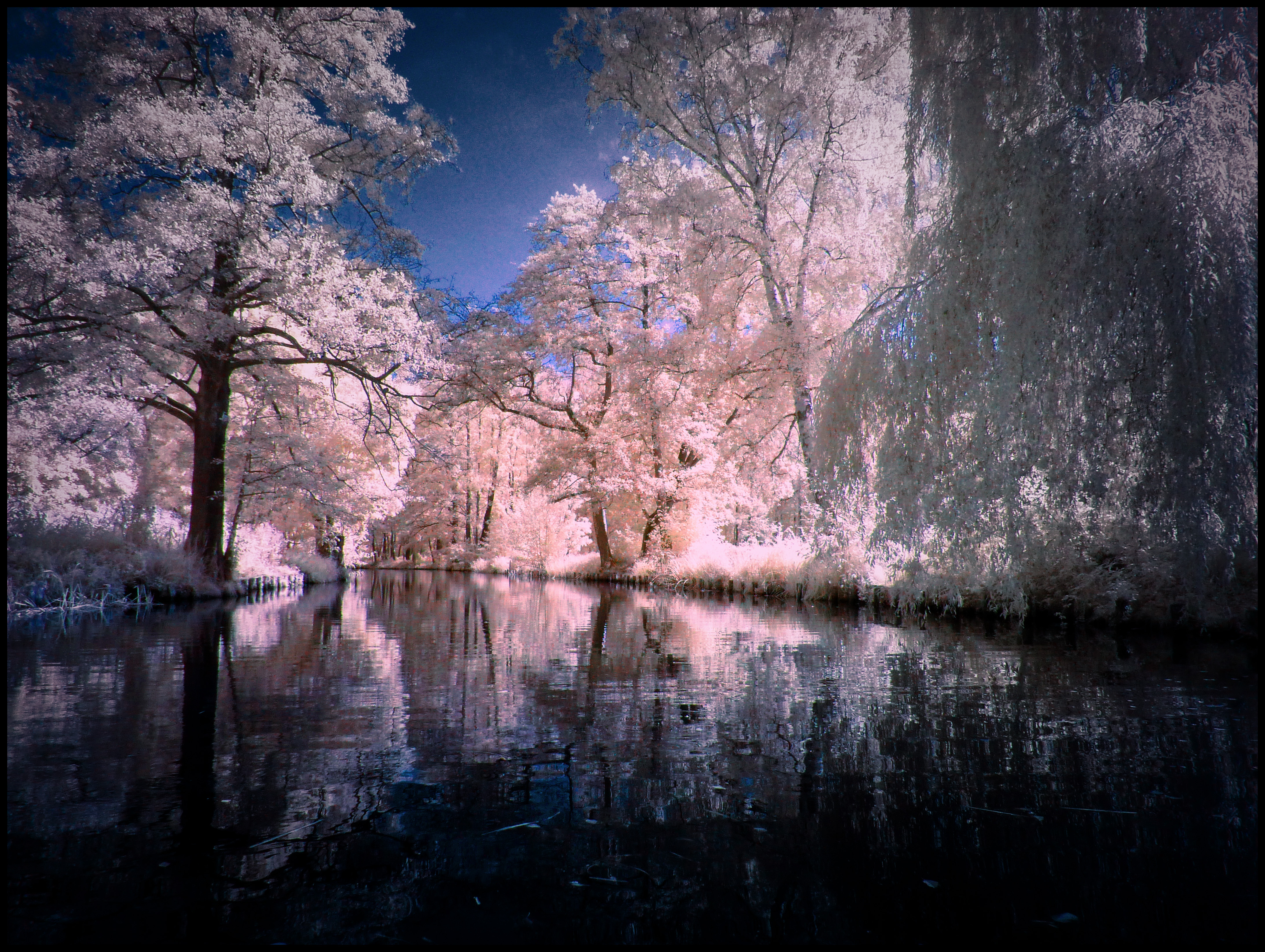 Summer in September II infrared