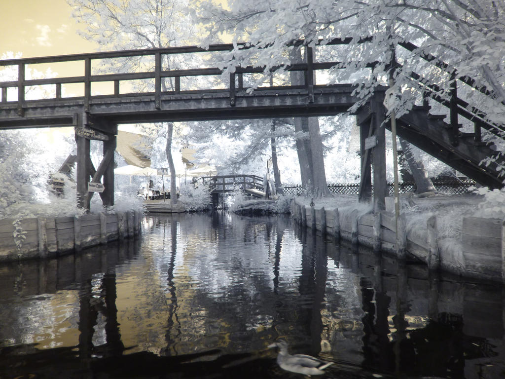 Spreewald infrared by MichiLauke Spreewald infrared by MichiLauke