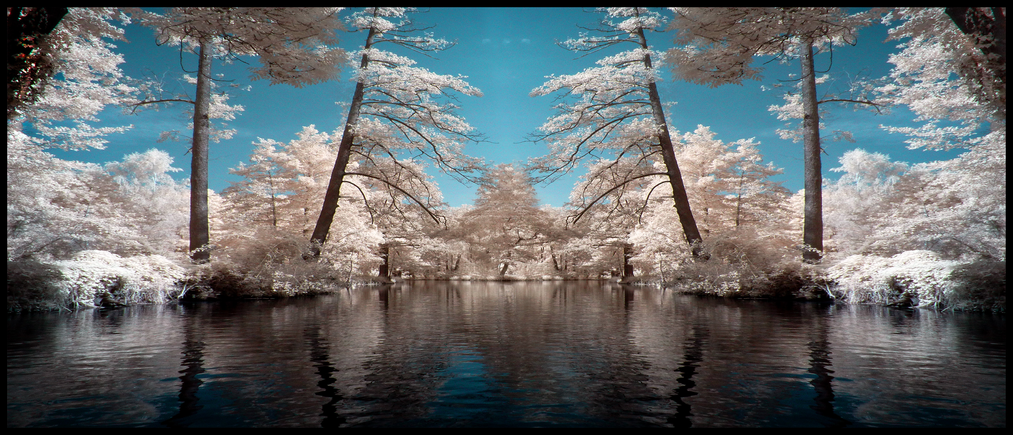 Dreamland infrared