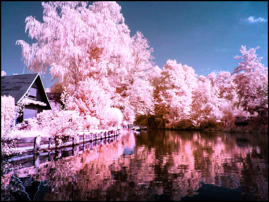 Spreewald infrared