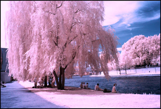 Chilling in Berlin infrared