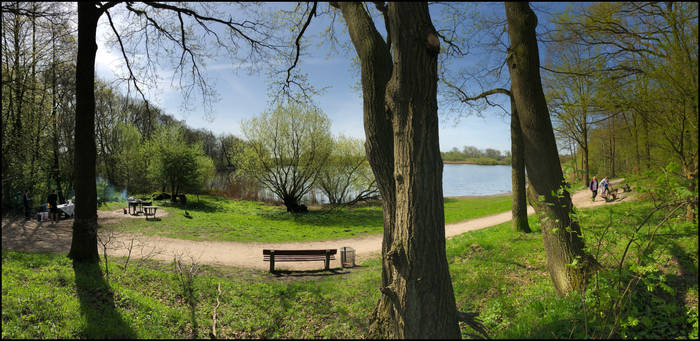 Springtime at my home in Northern Germany