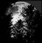Full Moon... by MichiLauke