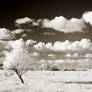 Clouds infrared...