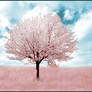 Pink Tree infrared...