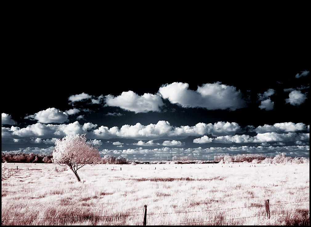 Clouds infrared... by MichiLauke